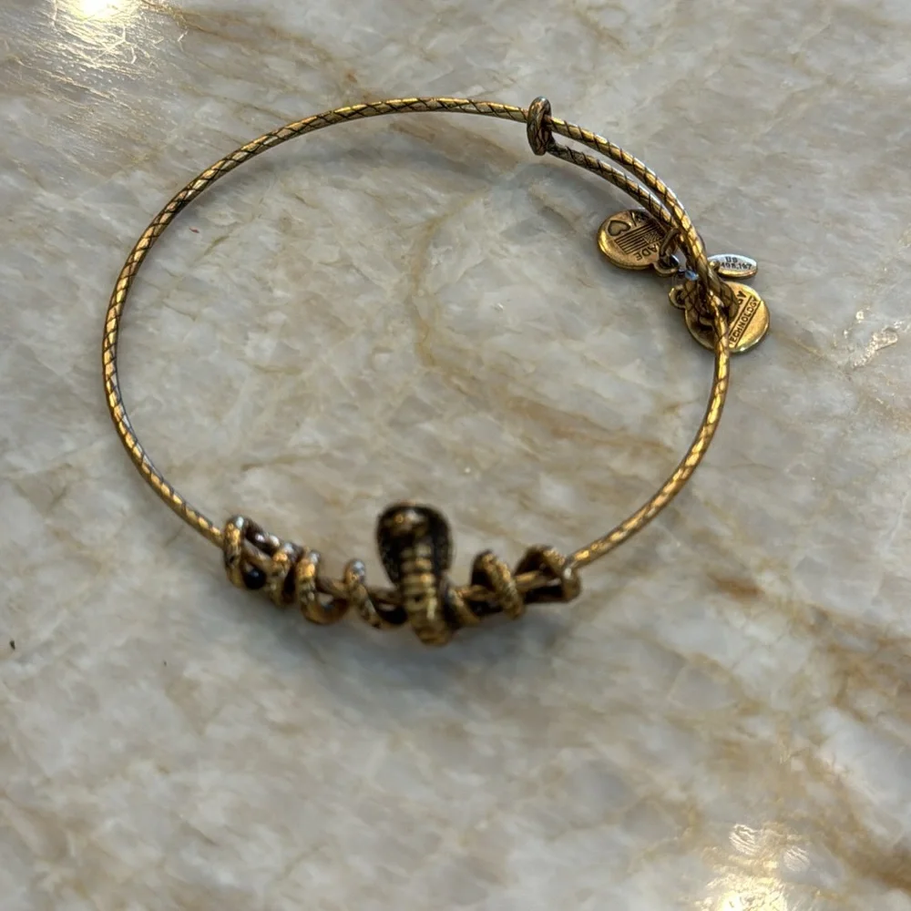 Alex and Ani serpent bracelet, dark gold with textured band.